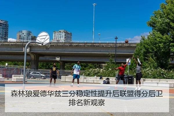 森林狼爱德华兹三分稳定性提升后联盟得分后卫排名新观察